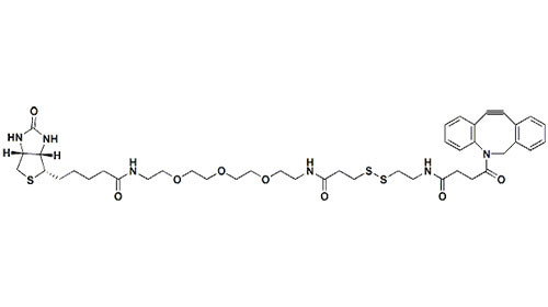DBCO-S-S-PEG3-Biotin Is For Targeted Drug Delivery  CAS:1430408-09-5