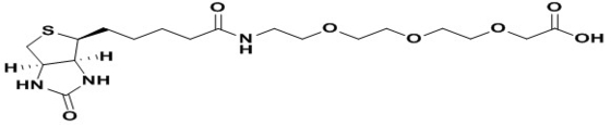 95% Min Purity PEG Linker   Biotin-PEG3-CH2COOH   1189560-96-0