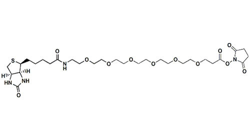 Biotin-PEG6-NHS ester, ms pegs, Methyl pegs, Acid pegs, COOH pegs