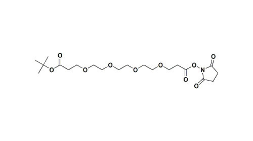NHS ester-PEG3-t-butyl ester With CAS NO.1835759-75-5 Of  PEG Linker Is Applicated In Medical Research