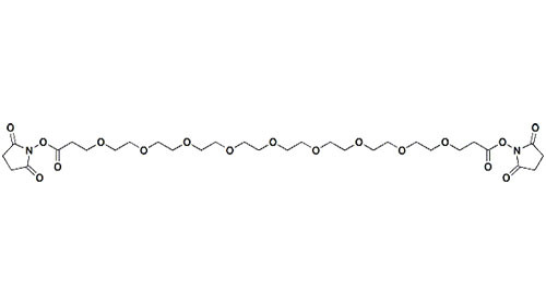 Bis-PEG9-NHS ester Is For Targeted Drug Delivery