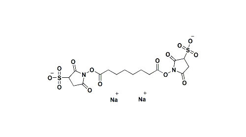 Pure PEG Reagent Suberate Bis SulfosucciniMidyl SodiuM Salt Cas 127634-19-9