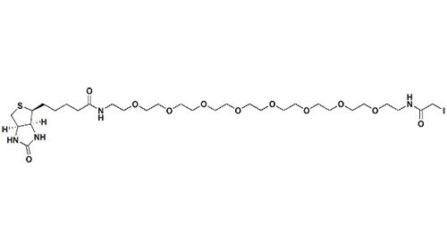 IA-PEG8-Biotin of PEG Linker Is A Kind Of Transparent And Oil Free Liquid