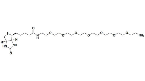 High Purity Amino PEG Biotin - PEG 8 - Amine With Cas 1334172-76-7 MW 594.76