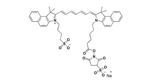 Cy5-NHS sodium sulfide Is For Targeted Drug Delivery