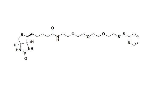 PEG Linker Biotin - PEG3 - Pyridine Thiol Reactive PEG Derivative For Modify Proteiny