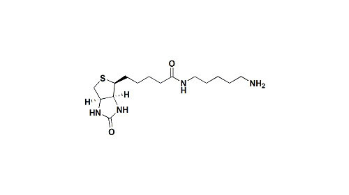 High Stable Peg Maleimide N - (5 - Aminopentyl ) Biotinamide With Cas 115416-38-1